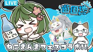 【#splatoon3】ねこまんまフェスコラボ！【with 米田八十八、もち】