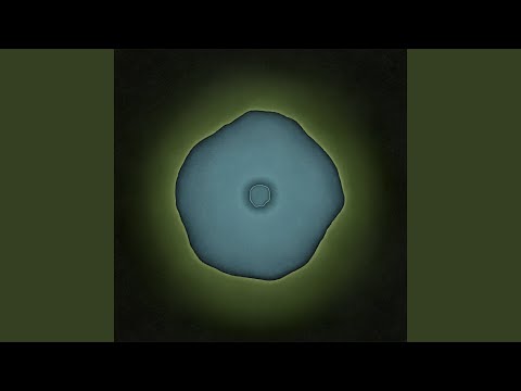 WaWuWe — The Spotless Mind