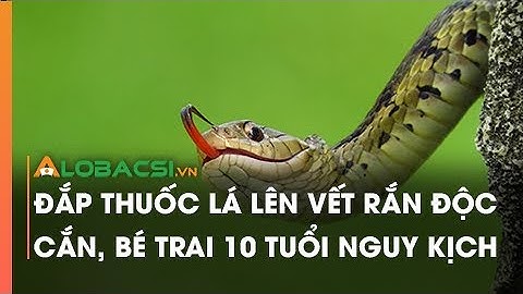 Đắp thuốc lá lên vết rắn độc cắn, bé trai 10 tuổi nguy kịch