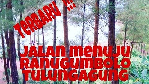 akses menuju ke Ranu gumbolo Tulungagung dari waduk wonorejo#tulungagung jatim