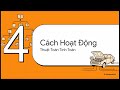 Decision Tree &amp; Random Forest Là Gì? Cách AI Ra Quyết Định Như Con Người