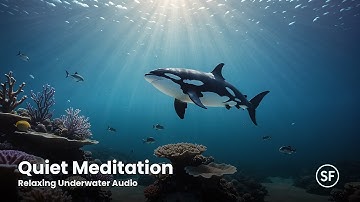 Grounding Ambience – 24/7 Music for Inner Peace