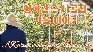 한편의 영화 같은 시골집 겨울이야기/ 힐링이 되는 숲속 산책/무우 김치와 곰탕 떡국