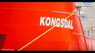 Luckily For New Build 'KONGSDAL' ✅, Rain Did Not Ruin The Footage! - #1139NL