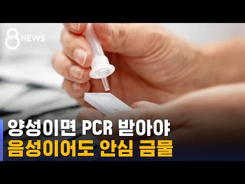 자가검사키트 양성이면 PCR 음성이어도 안심 금물 SBS 