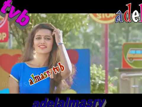 محمد قنديل جميل واسمر ارشيف عادل المصرى