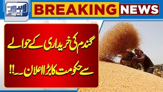 Breaking News! wheat Price Changed! | Punjab Government Big Decision | Lahore News HD