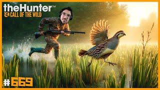 COMIENZA LA BÚSQUEDA DEL DIAMANTE DE CODORNIZ PECTORAL | 🦌theHunter: CotW #669