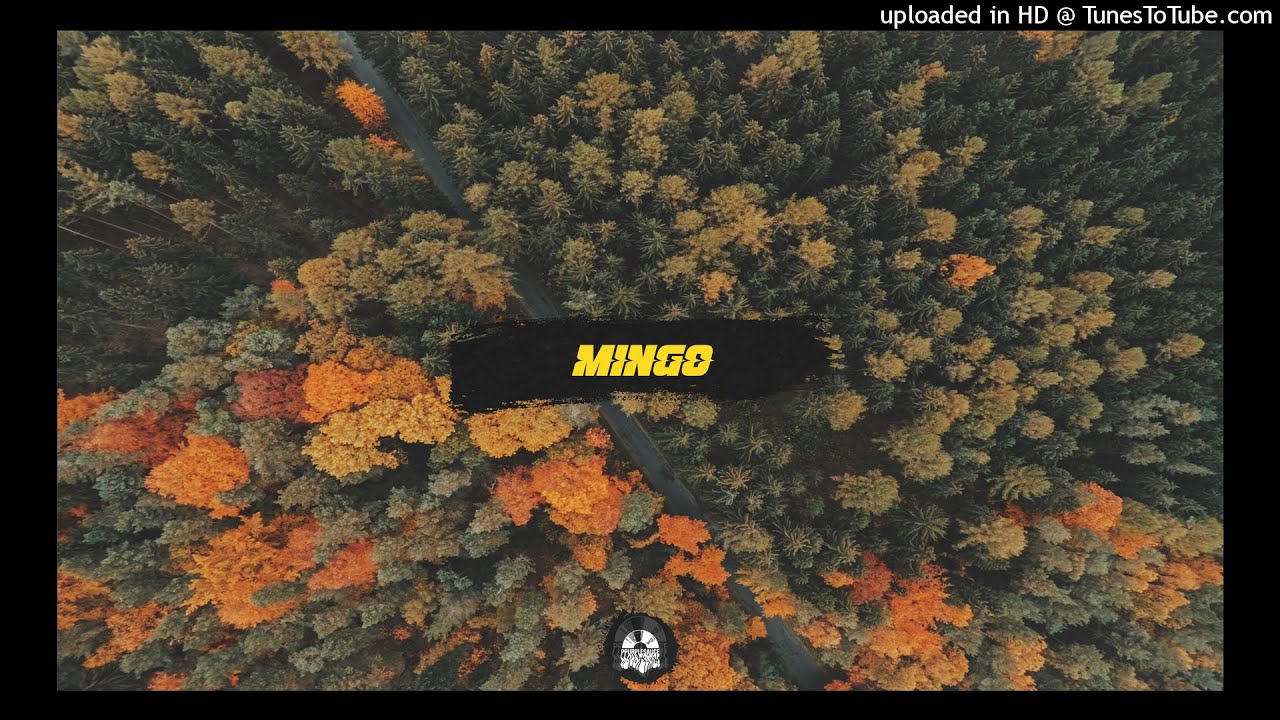 ROCKET x FRESCO x LILDRUGHILL Type Beat - "Mingo" (prod.by @ppurplesauce)