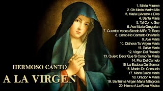 Hermoso canto a la VIRGEN __ Música para sanar todos los dolores del cuerpo, alma y Espíritu