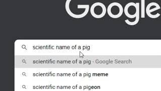 when the pig is sus