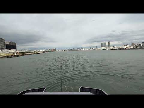 【データのじかん】 DX Namamono information--まほろば