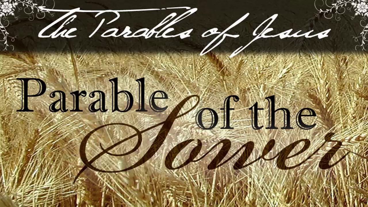 15th Sunday Ordinary Time Cycle A - YouTube