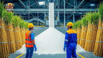 How Sugar Is Made – Unbelievable Billion Tons of Sugar Processing In Factory
