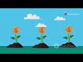 The Little Seed: Max's Journey to Greatness