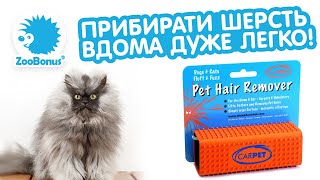 Как избавится от шерсти в догме и авто? Как избавится от шерсти в догме и авто?