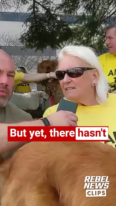 Dog lover protesters: Countless canines being killed by federal ban on foreign adoption