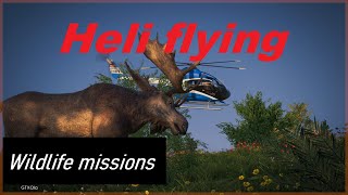 Helicopter - Wildlife missions