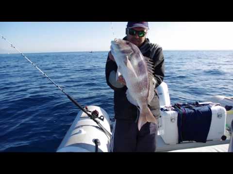 Trabucco TV – Traina con il vivo con Simone Chiariglione