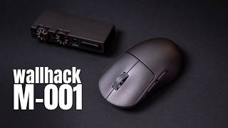 Wallhack M-001 | They’re Onto Something