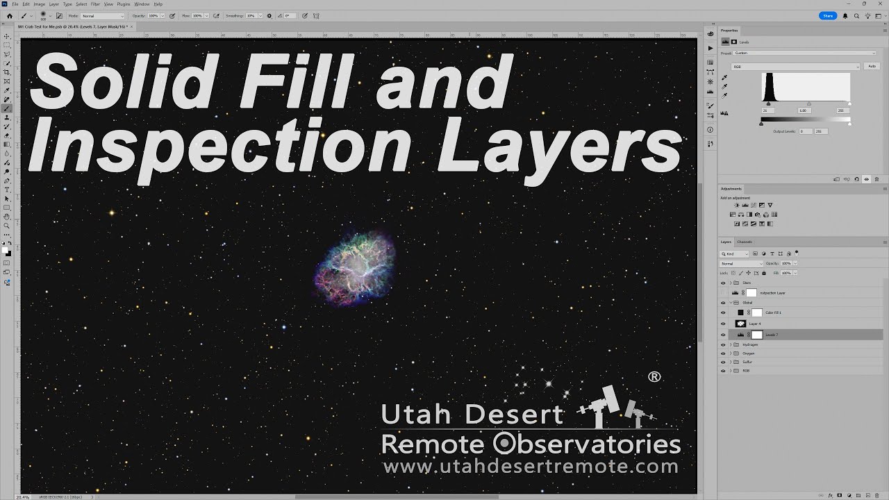 Solid Fill Layer in Photoshop