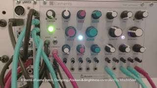 Mutable Instruments - Elements - Arp