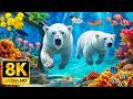 Epic Creatures of the Deep Ocean in 8K HDR | Dolby Vision™