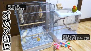 【HOEI 35手のり】オカメインコのケージ紹介│ケージカバーは自作