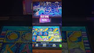 Majestic Sea $4.50 Bet #shortsfeed #casino #short