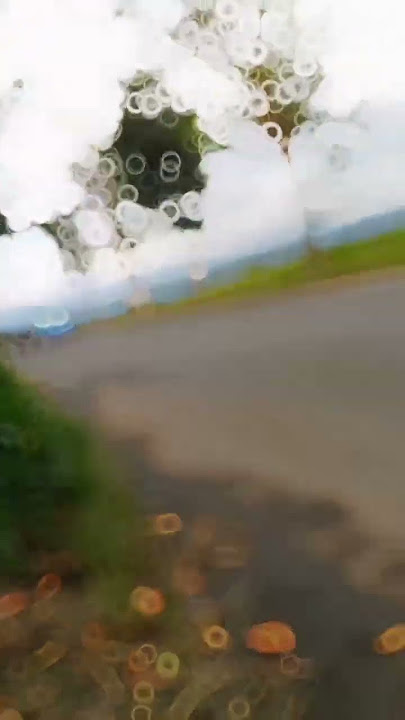 story wa anak motor keren versi motovlog