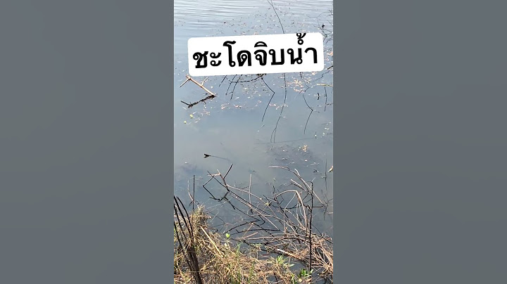 ชะโดจิบน้ำ #ชอบตกปลา #ตกปลา #ตกปลาช่อน #ปลาชะโด #ปลากระสูบ #เซียนจิหมายผีบอก
