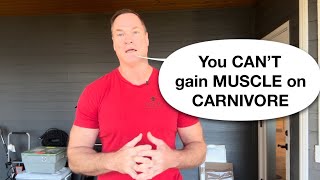 Impossible to gain muscle on a carnivore diet?