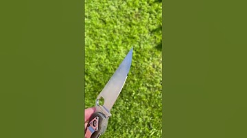 Spyderco CPM S30V mirror edge.