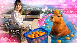 El capibara nada en una piscina con mandarinas