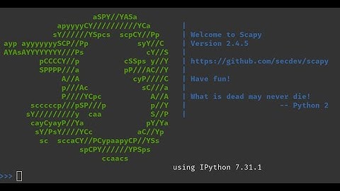 Scapy send and sniff