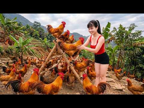 FULL VIDEO: 389 Days of Building a Large Chicken and Duck Farm in the Forest
