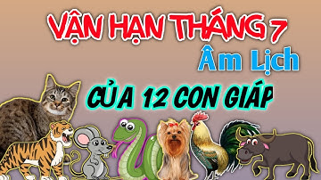 Tử Vi Tháng 7 Âm Lịch 2022 của 12 Con Giáp @tuvibonmang