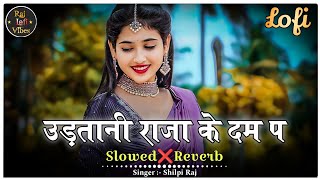 Udatani Raja Ke Dam Par Lofi Song - Slowed Reverb | Shilpi Raj Lofi Song | Instagram Viral Song