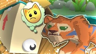 ANIMAL JAM FORGOT IT..?
HEY GUYS AND WELCOME BACK TO ANOTHER ANIMAL JAM VIDEO! TODAY IN ANIMAL JAM, I SHOW YOU SOME ITEMS AJHQ FORGOT TO ANIMATE!
My Instagram: https://instagram.com/aparriyt/
My Twitter: https://twitter.com/AparriYT
- Aparri 🐾 ANIMAL JAM FORGOT IT..?