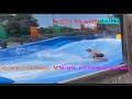 Noah’s Ark Water surfing In the Wis Dells Water park capital of the world