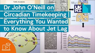 Dr John O’Neill on Circadian Timekeeping | Everything You Always Wanted to Know About Jet Lag