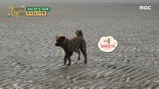 [안싸우면 다행이야] ＂산속에 갯벌이?!＂ 앞마당에 갯벌이 있는 자연인의 집, MBC 210125 방송