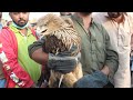 PET MARKET KARACHI | SADDAR EMPRESS MARKET