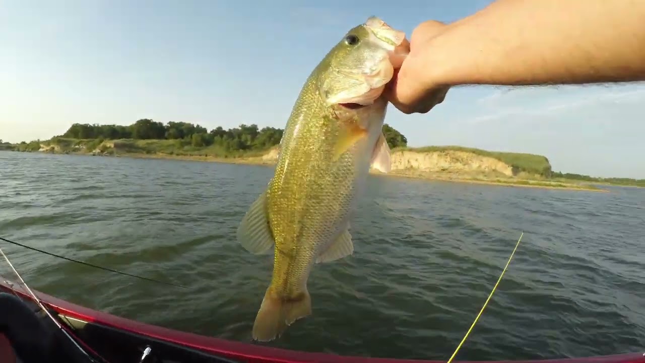 Summer Bass Fishing is Getting HOT!!!