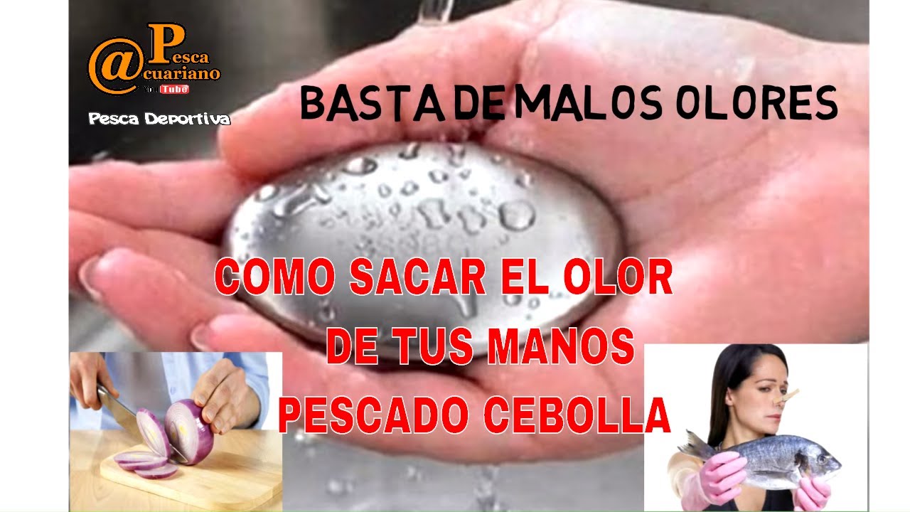 📢COMO SACAR EL OLOR DE TUS MANOS📢 🔴(PESCADO CEBOLLA AJO)🔴 - YouTube