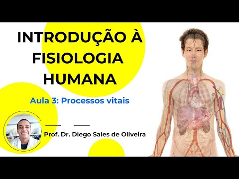 Vídeo: Quais são os processos vitais das coisas vivas?