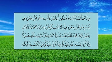 سورة البقرة (الآية 228 ~ الآية 233) - ياسر بن راشد الدوسري