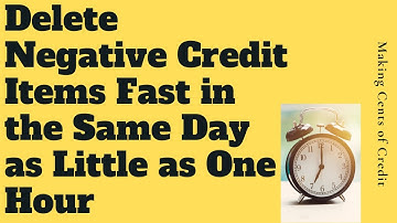 Delete Negative Items Fast in the Same Day as Little as One Hour
