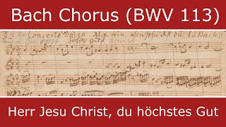 Video thumbnail of "Bach - Herr Jesu Christ, du höchstes Gut (Monteverdi Choir)"