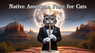 Healing Music for Cats.Native American Flute.Cats are deeply and peacefully healed